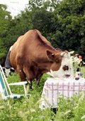 Spezial Vegetarisch / Vegan Spezial Vegetarisch / Vegan