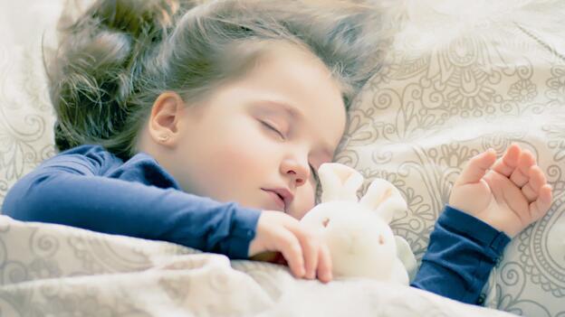 15 Naturbettdecken im Test 15 Naturbettdecken im Test