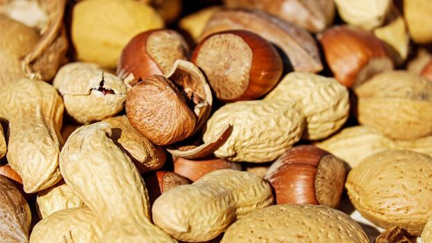 24 Nüsse und Ölsaaten im Test 24 Nüsse und Ölsaaten im Test