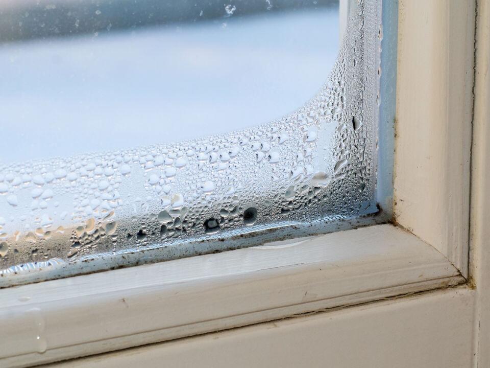 Kondensat am Fenster – Was können Sie tun?
