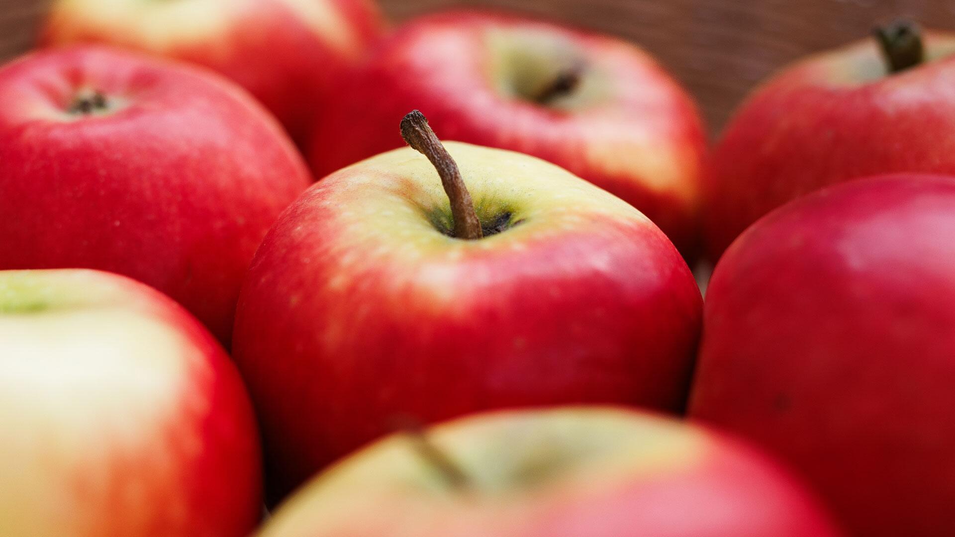 Äpfel für Allergiker: Ab Herbst in den Supermärkten