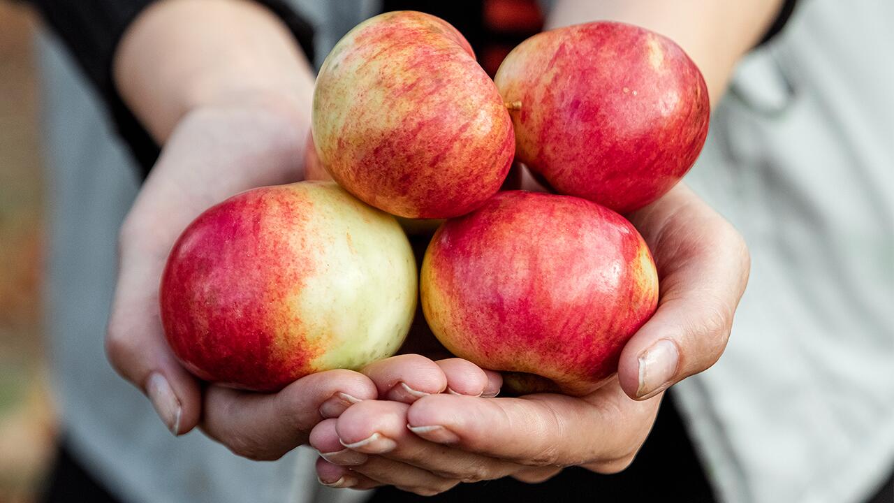 Äpfel im Supermarkt sehen oft glänzend und speckig aus.