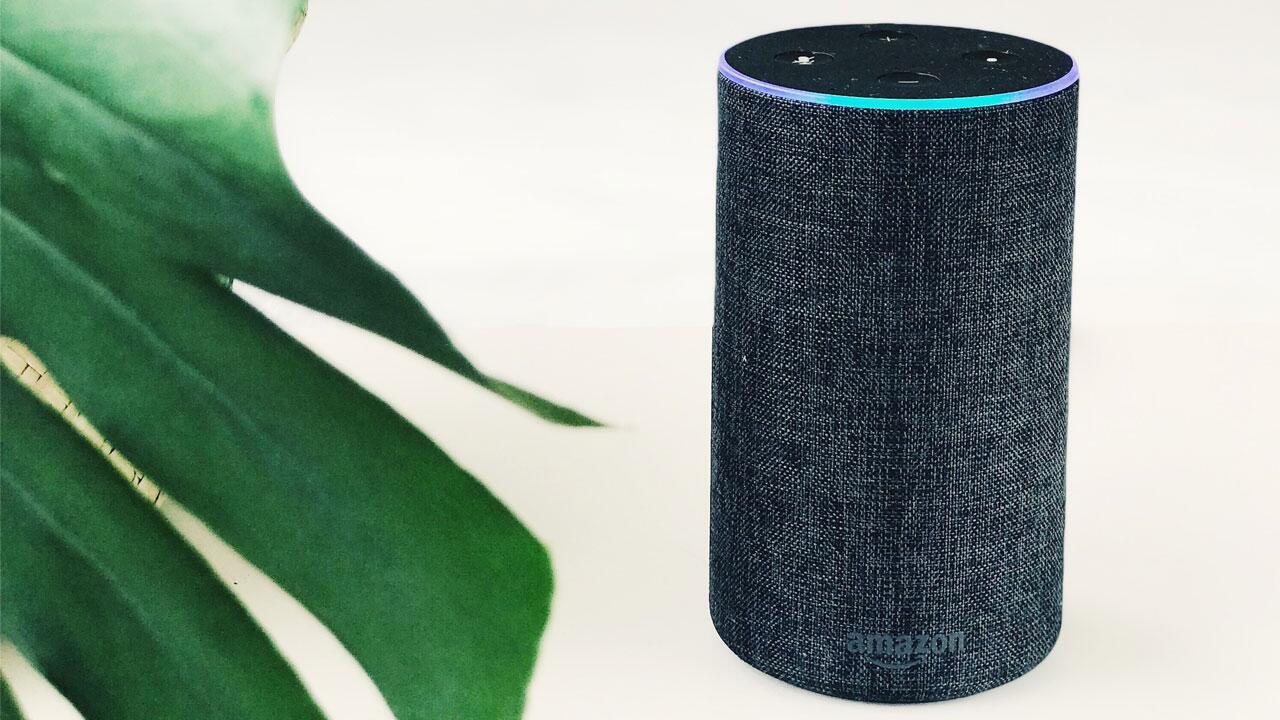 Alexa-Fiasko: Amazon lässt Gespräche von Zeitarbeitern in Polen auswerten