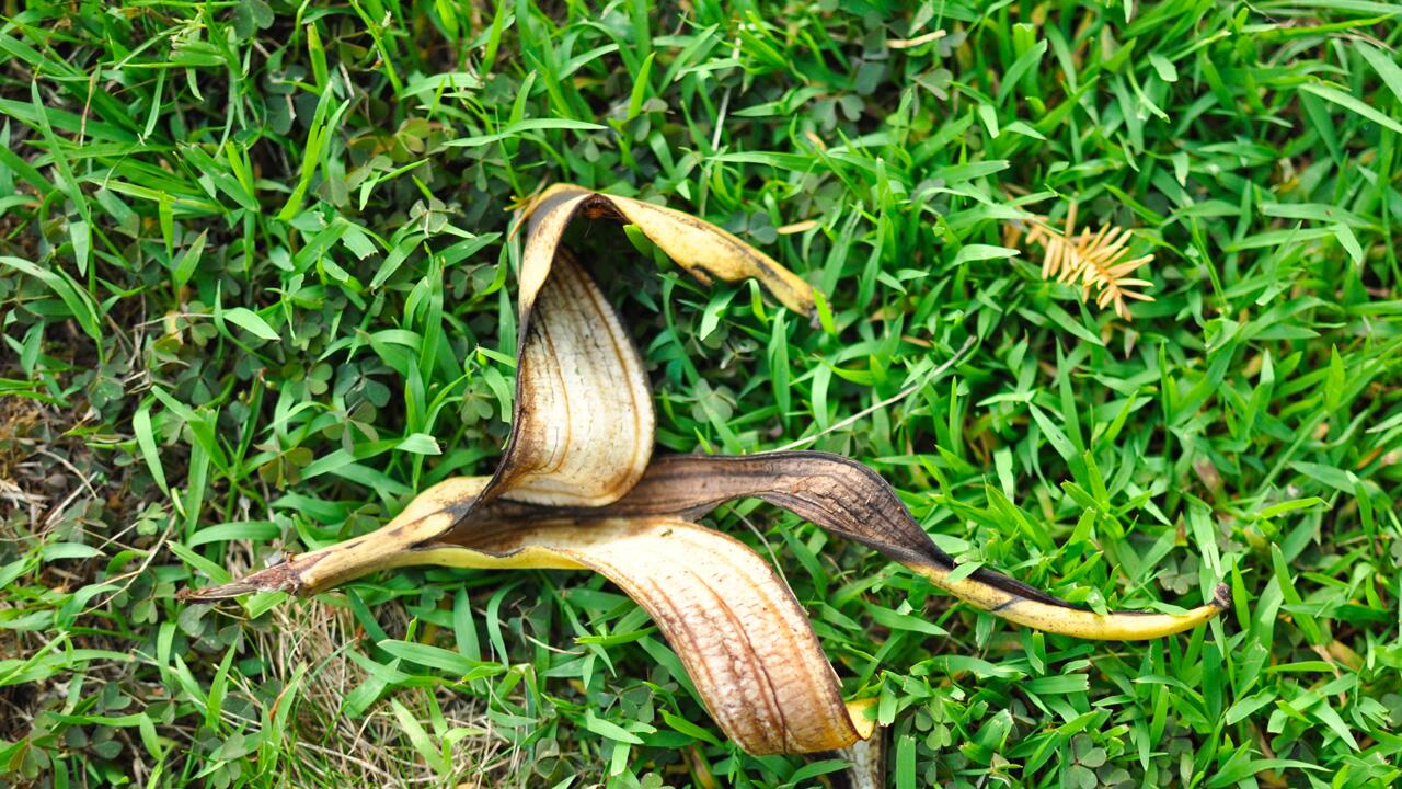 Bananenschale wegwerfen: Warum das keine gute Idee ist 