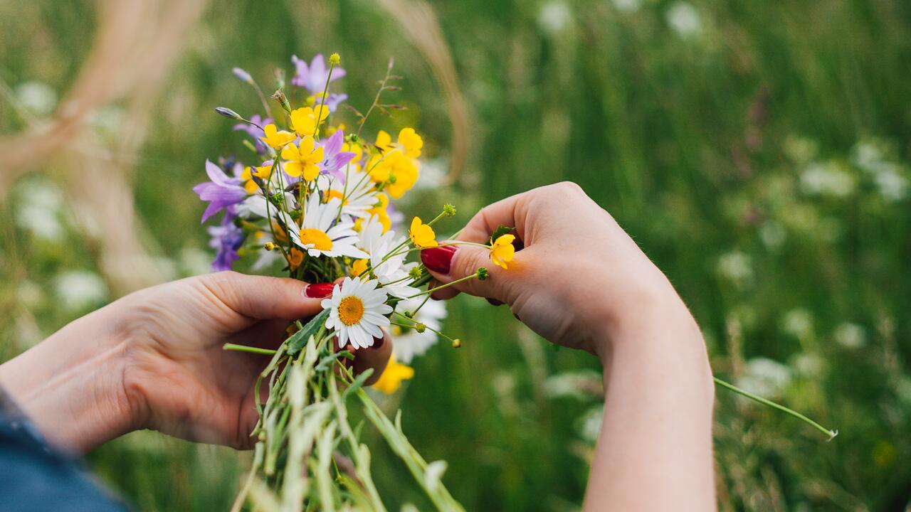 Blumen pflücken unterwegs: Erlaubt oder verboten? Blumen pflücken unterwegs: Erlaubt oder verboten?