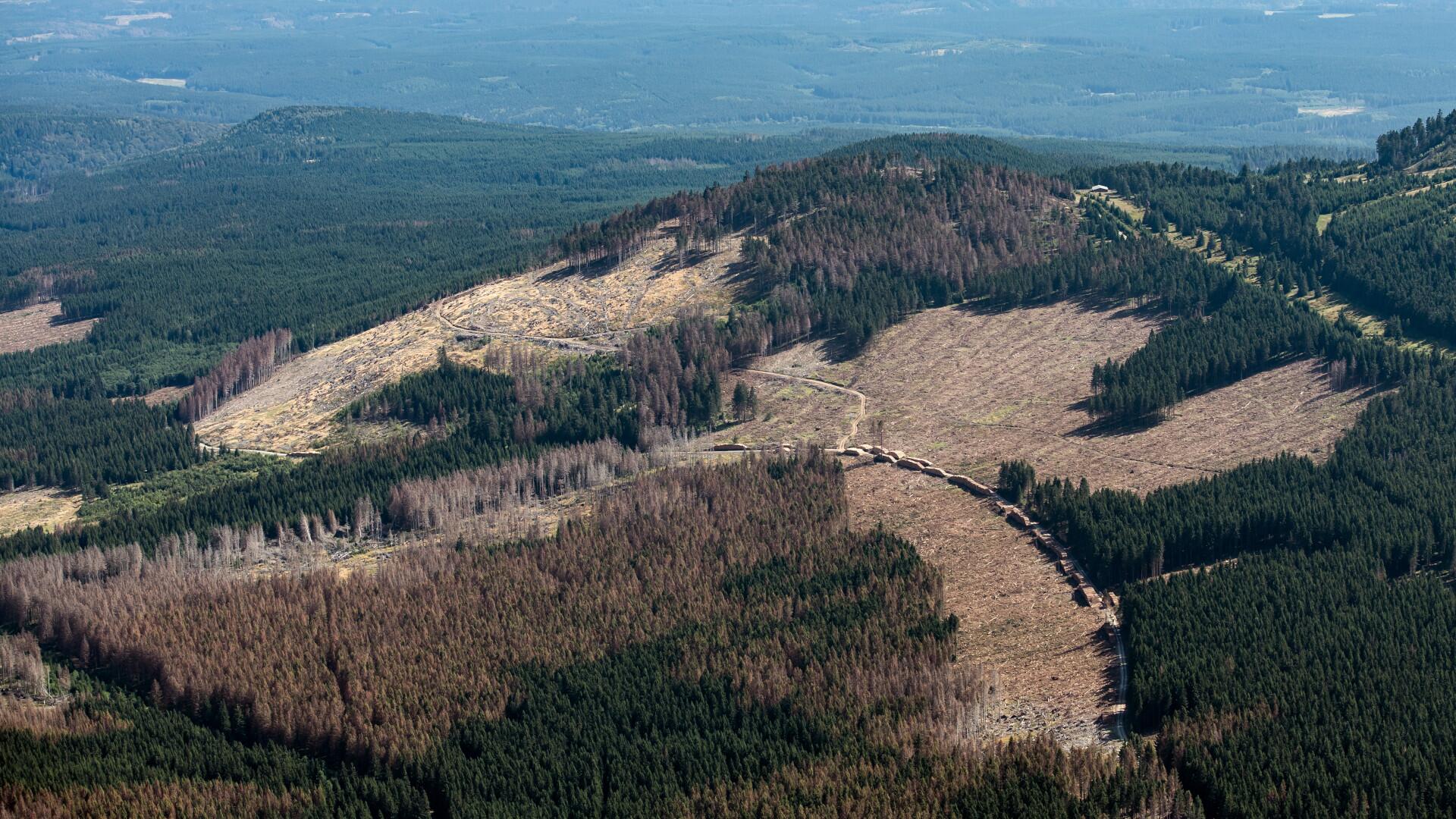 Expertenrat: Im Koalitionsvertrag "kein nennenswerter Impuls" fürs Klima Expertenrat: Im Koalitionsvertrag "kein nennenswerter Impuls" fürs Klima