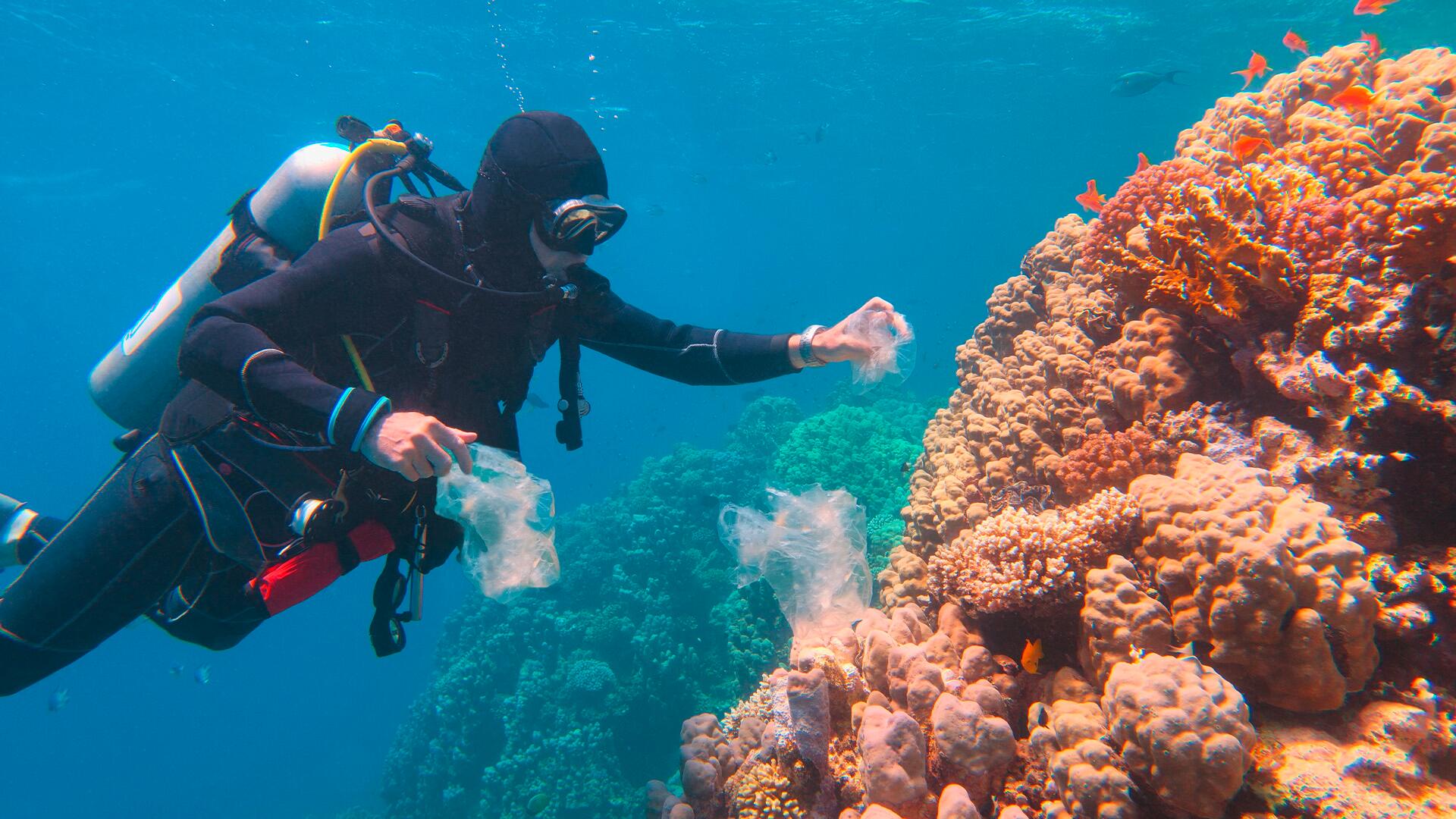 Plastikmüll, Überfischung und Co.: Sind unsere Meere noch zu retten? Plastikmüll, Überfischung und Co.: Sind unsere Meere noch zu retten?
