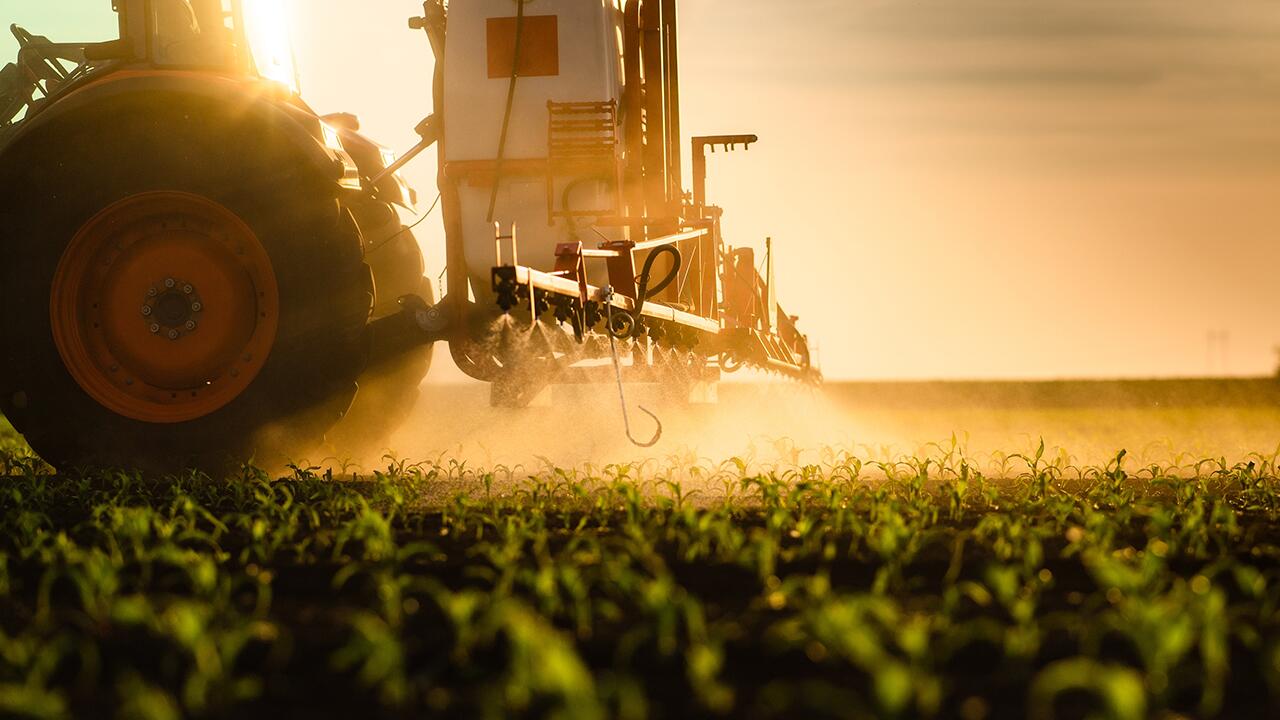 EU-Kommission will Natur vor dem Kollaps retten