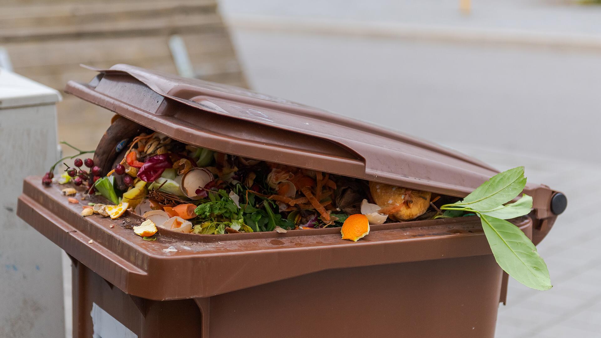 Küchenkrepp, Teebeutel, Zeitungspapier und Co.: Das darf in die Biotonne – und das nicht Küchenkrepp, Teebeutel, Zeitungspapier und Co.: Das darf in die Biotonne – und das nicht