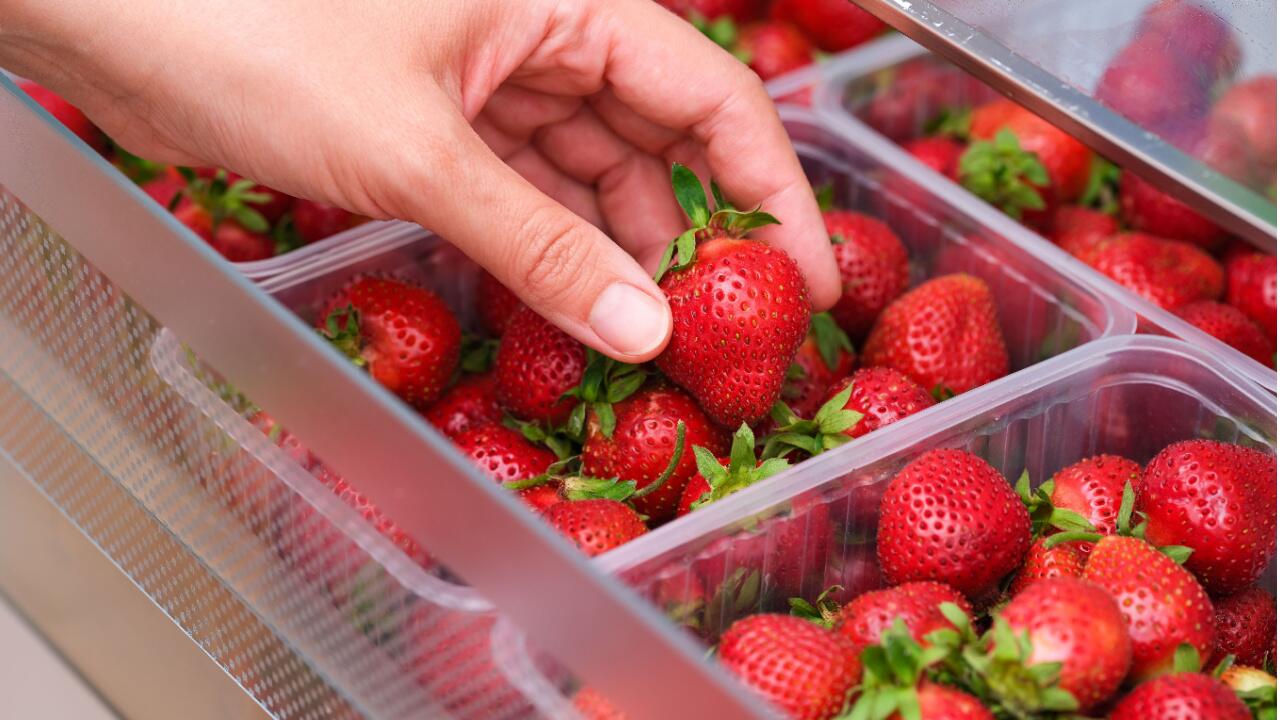 Erdbeeren richtig lagern: 5 Tipps, damit die süßen Früchte länger halten