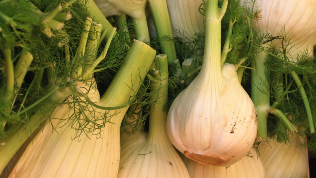 Fenchel liefert viele wichtige Vitamine und Mineralstoffe.