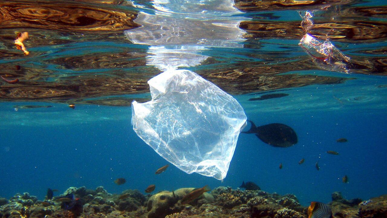 Für weniger Plastik: UN-Verhandlungen gehen in nächste Runde