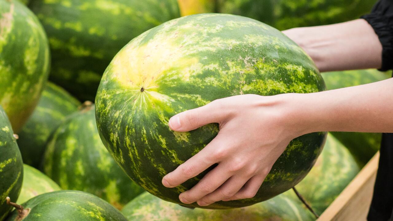 Gute Wassermelone erkennen: Daran merken Sie, ob das Sommerobst reif ist