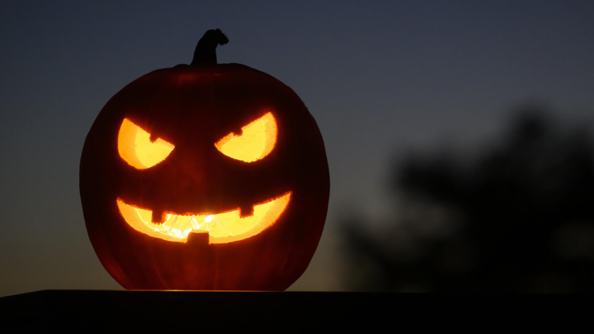 Halloween-Kürbis geschnitzt und viel Kürbis übrig? Tipps zum Verwerten Halloween-Kürbis geschnitzt und viel Kürbis übrig? Tipps zum Verwerten