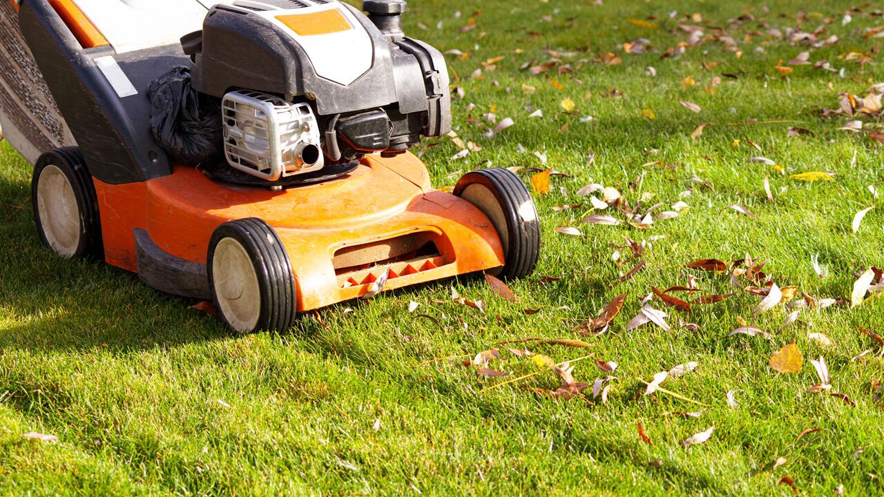 Herbstlaub einfach mitmähen – sinnvoll oder riskant? Herbstlaub einfach mitmähen – sinnvoll oder riskant?