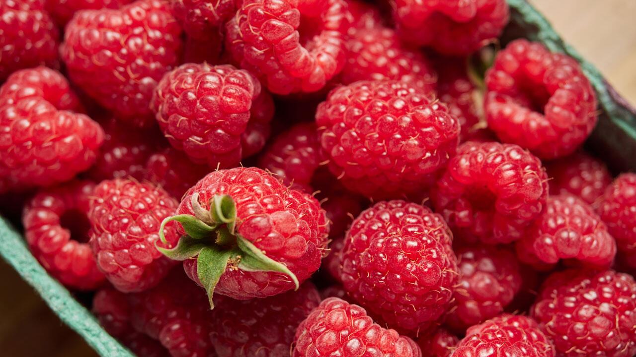 Himbeeren: Tipps für Aufbewahrung und Haltbarkeit