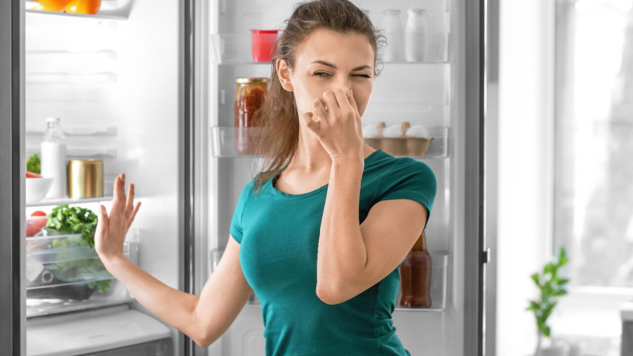 Kühlschrank stinkt: Woran's liegt. Was Sie tun können