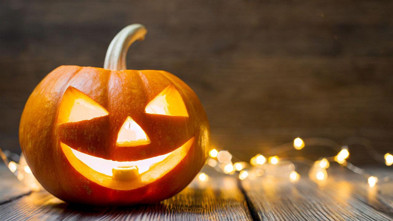 So hält der Halloween-Kürbis länger: Tipps gegen Schimmel und Verfall