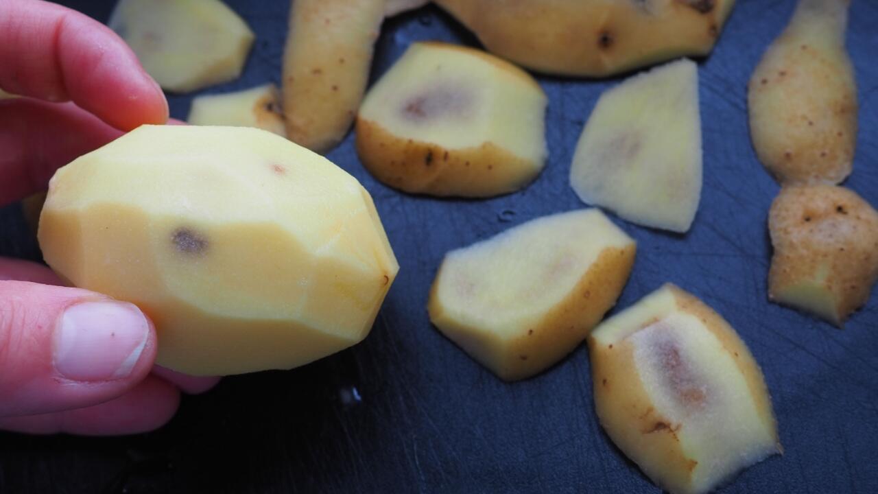 Lila Flecken bei Kartoffeln: Was tun?