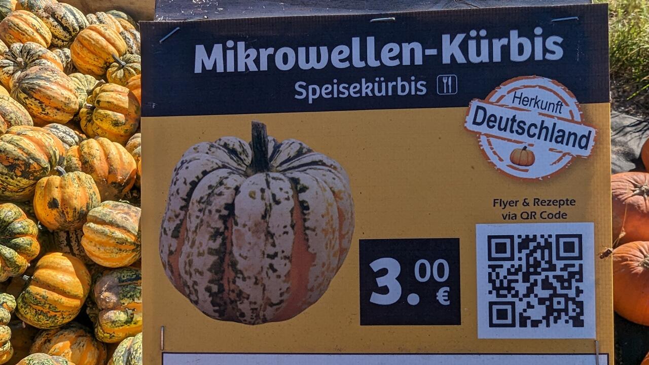 Mikrowellenkürbis: Zubereitungstipps für die innovative Kürbissorte