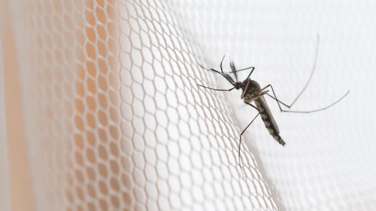 Die besten Anti-Mücken und Anti-Zeckenmittel für Kinder