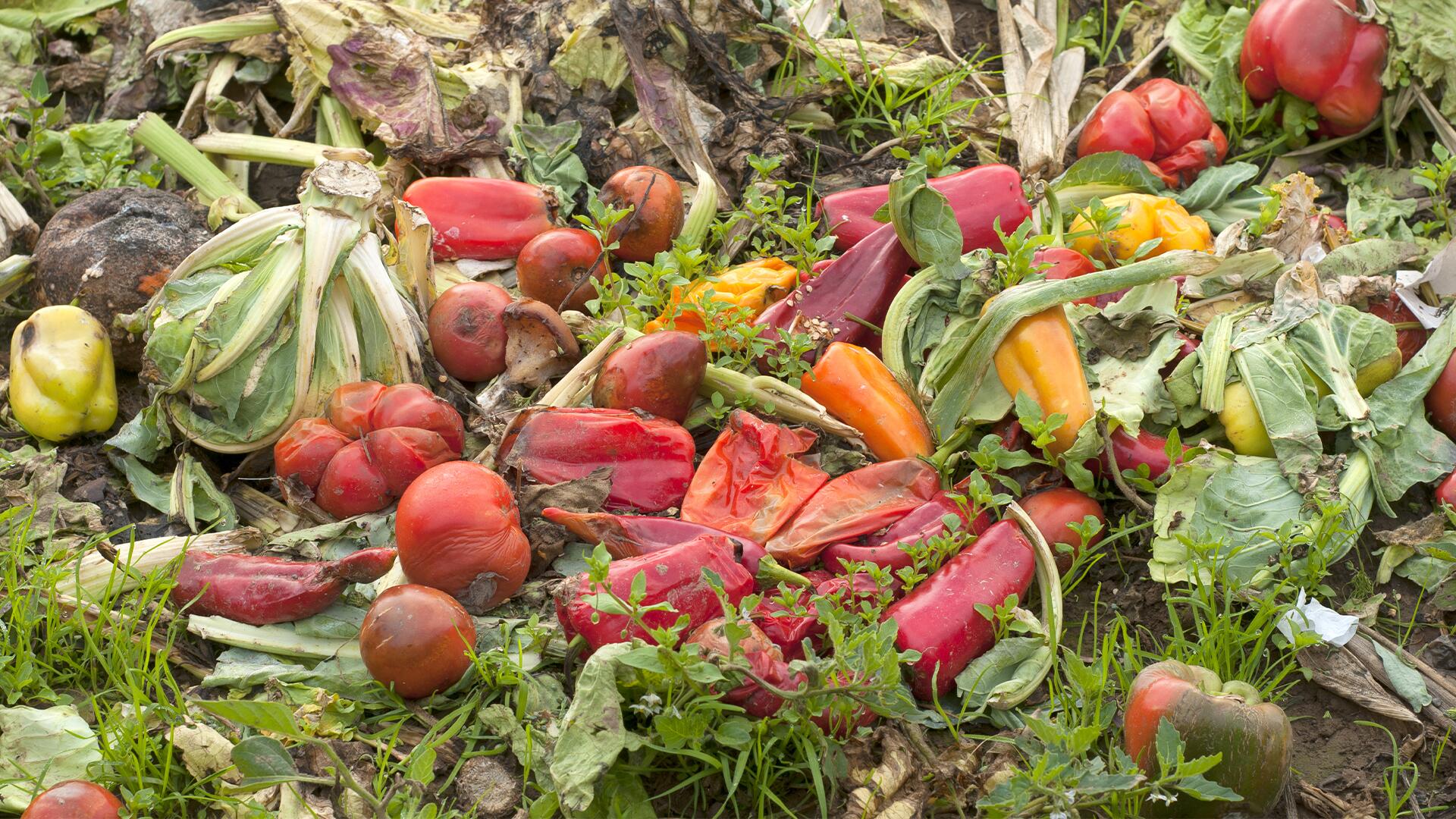 Umwelthilfe: Supermärkte haben zu hohe optische Ansprüche an Obst und Gemüse