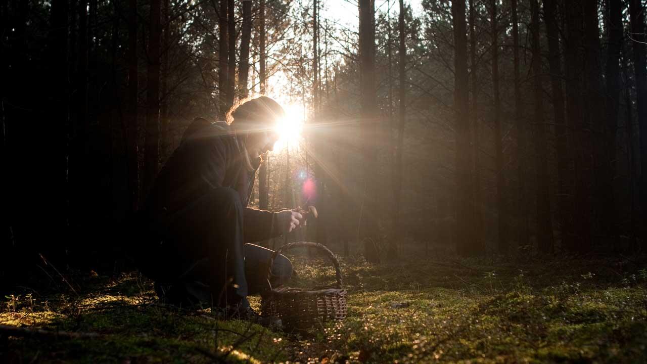 Person mit Korb kniet im Wald