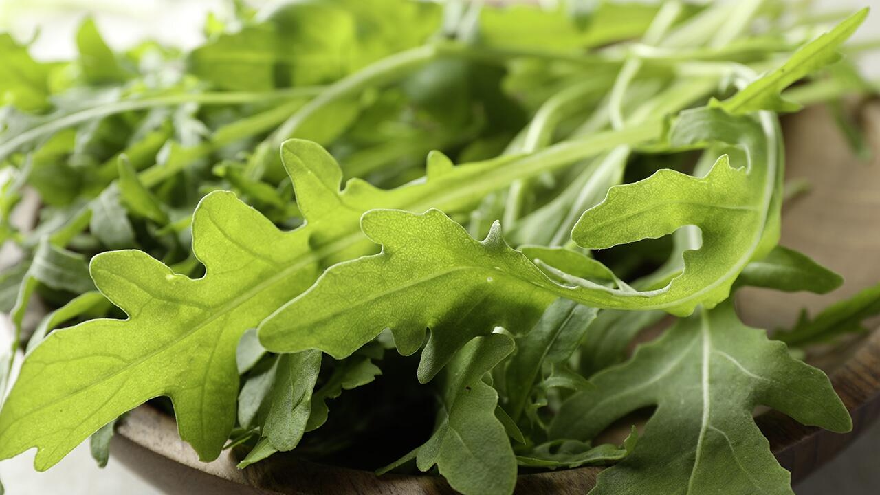 RKI meldet Salmonellen-Ausbruch: Erreger in Rucola?