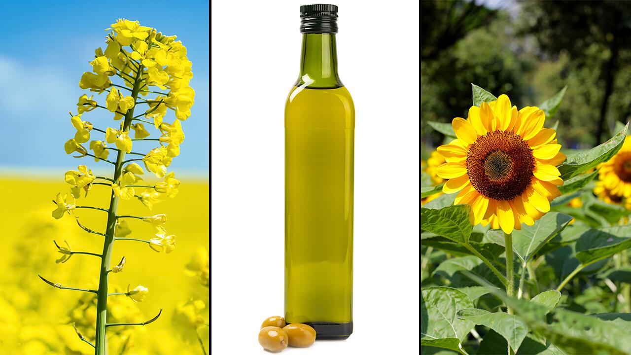 Rapsöl, Olivenöl & Sonnenblumenöl: Welches ist das beste und wofür?