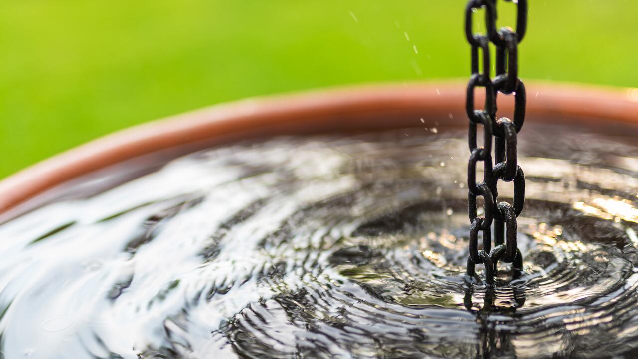 Regenwasser sammeln – und für Haus und Garten nutzen