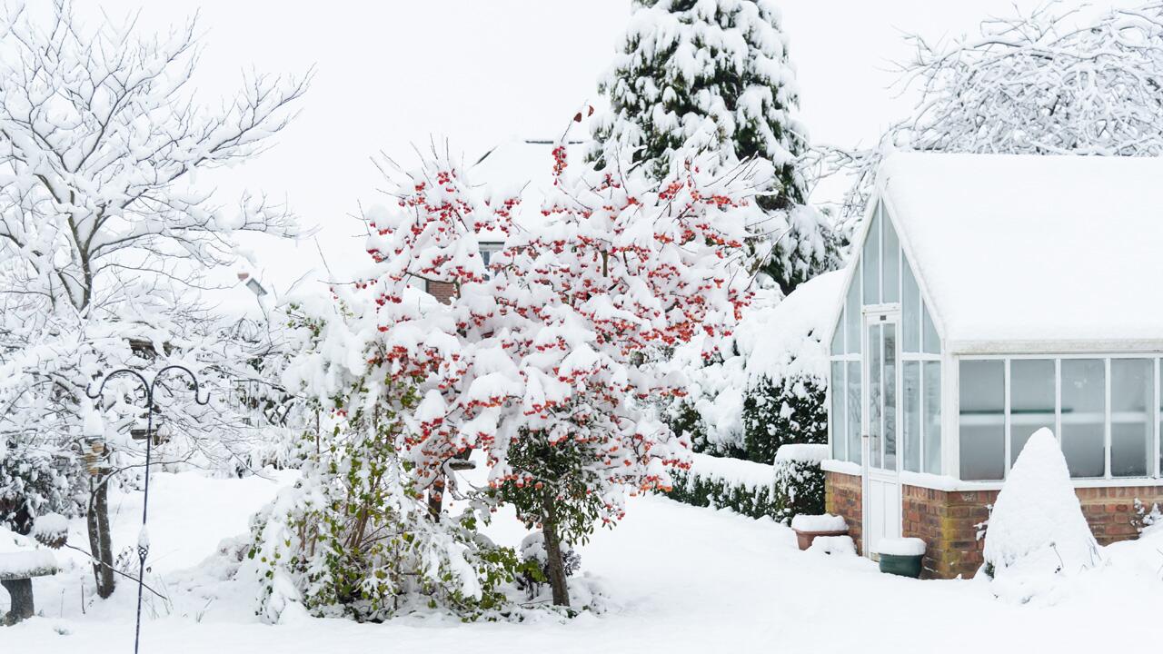 Schnee im Garten - was sollte man dagegen unternehmen?