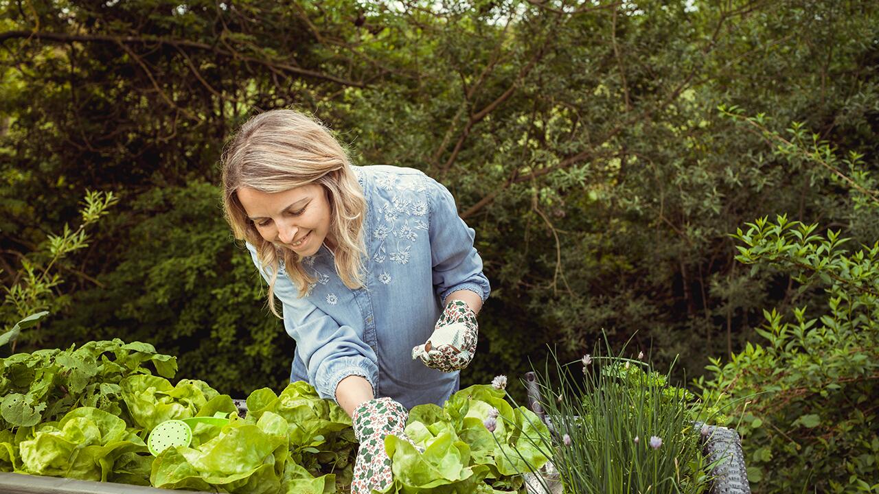 Schnecken im Garten: Was tun? 