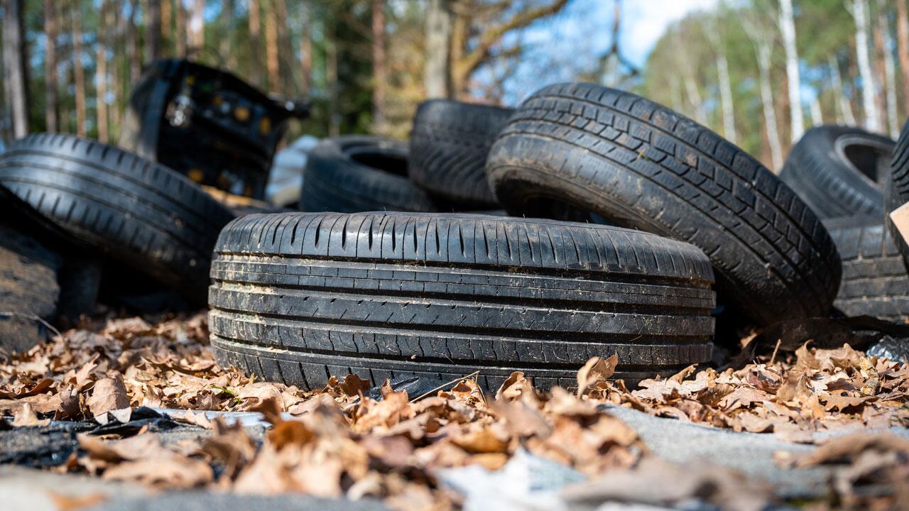 Schutt, Farben und Reifen – Müll im Wald wird zum Problem