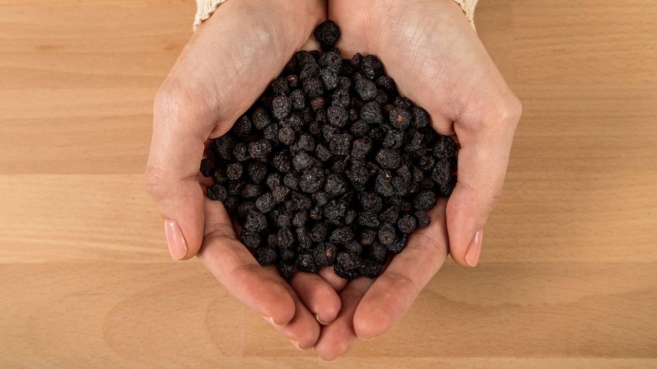 Superfrucht Aronia: Wie gesund ist die Aroniabeere wirklich? 