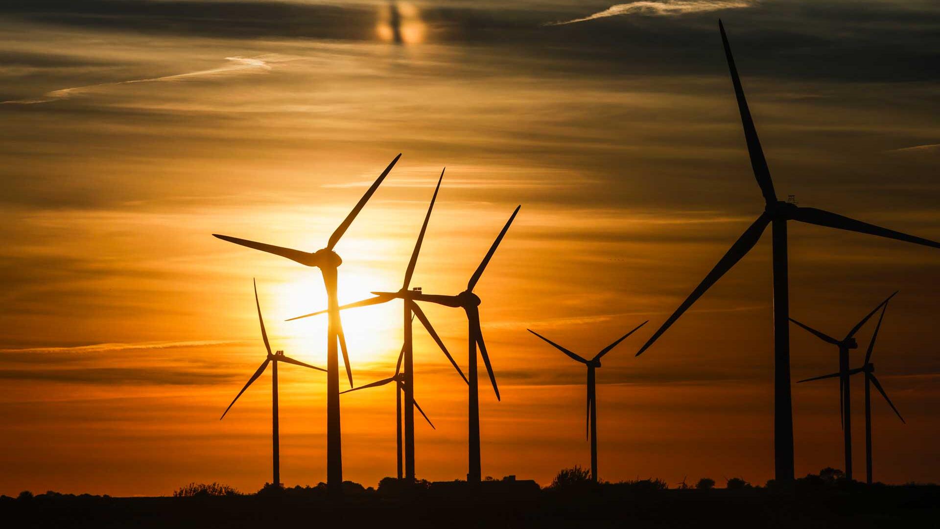 Umweltagentur: Erneuerbare könnten Stromkosten stark senken Umweltagentur: Erneuerbare könnten Stromkosten stark senken