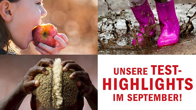 Unsere Test-Highlights im September