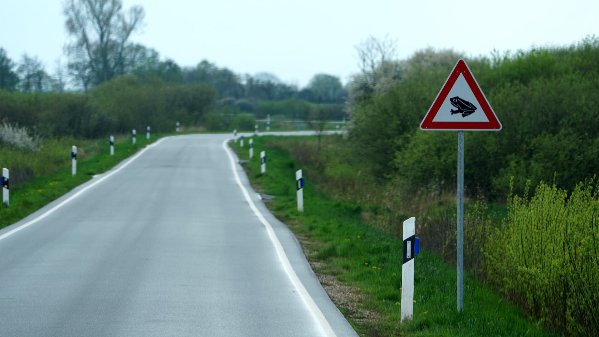 Verkehrsschilder zur Amphibienwanderung sollte man unbedingt beachten.