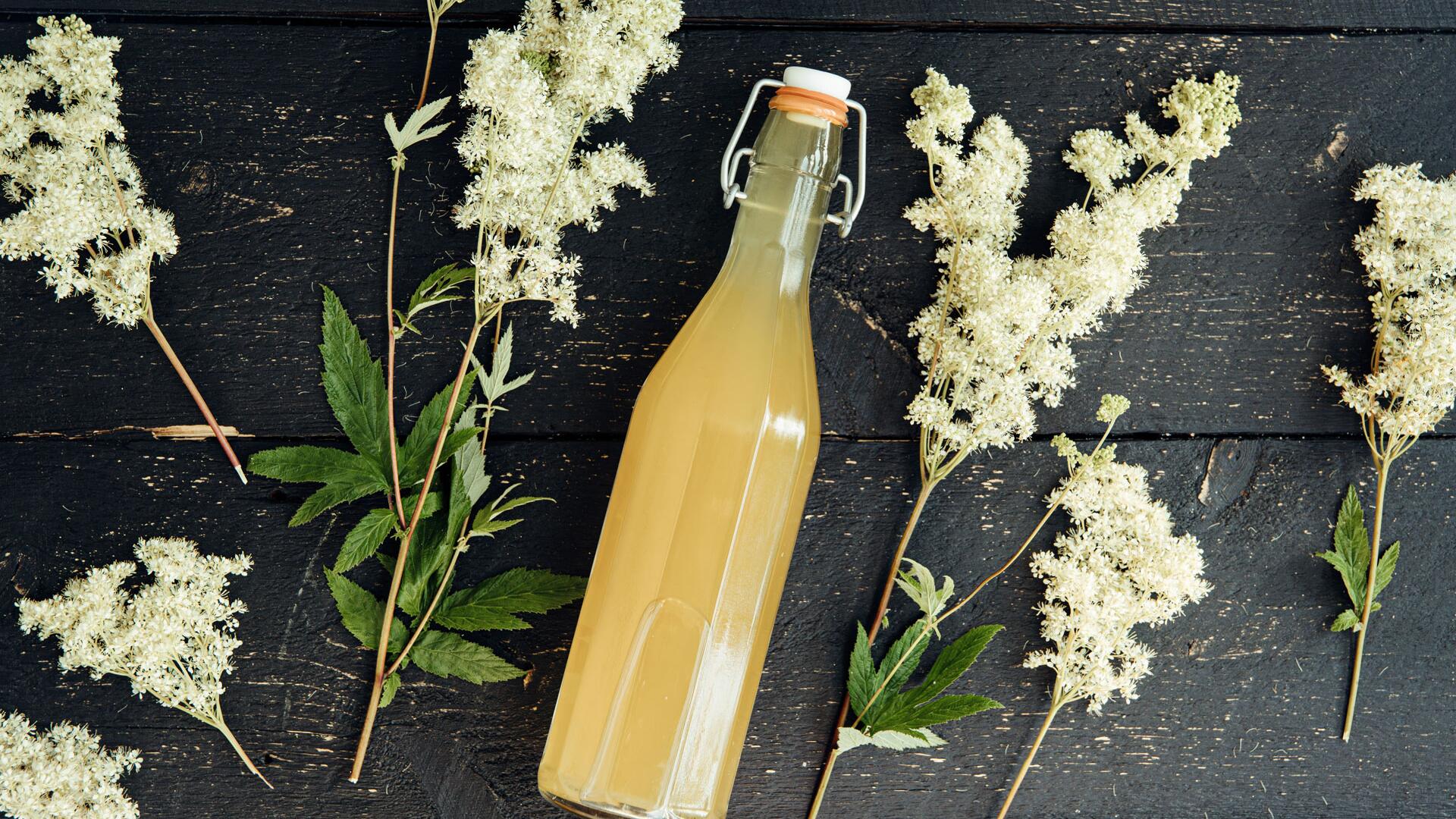 Die Wildpflanze des Sommers ist gesund und leicht zu sammeln: So nutzen Sie Mädesüß Die Wildpflanze des Sommers ist gesund und leicht zu sammeln: So nutzen Sie Mädesüß