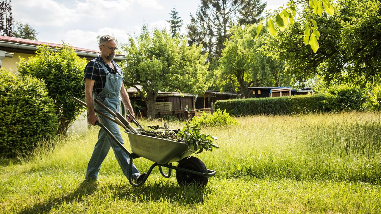 Wohin mit dem Grünschnitt aus dem Garten?