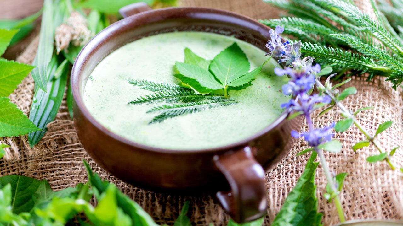 Giersch schmeckt köstlich – zum Beispiel in einer Suppe aus Wildkräutern.