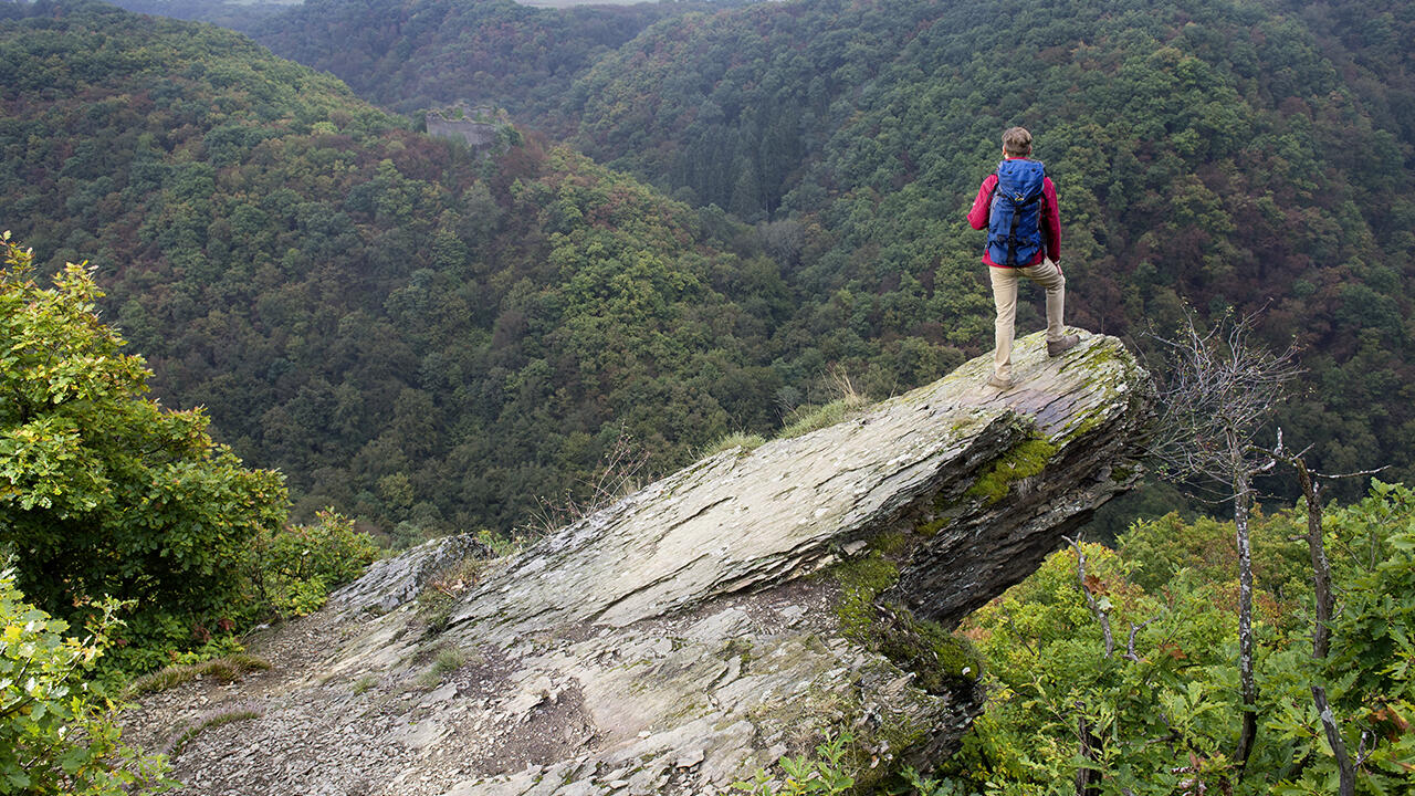 Der Wanderweg durch die Ehrbachklamm ist Teil des Saar-Hunsrück-Steigs.