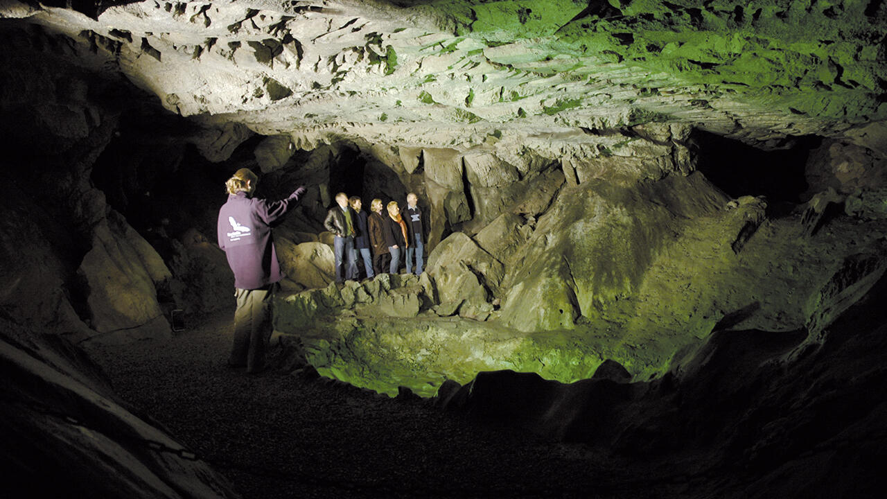 Fledermaus-Fans kommen in der Kalkberghöhle von Bad Segeberg auf ihre Kosten.