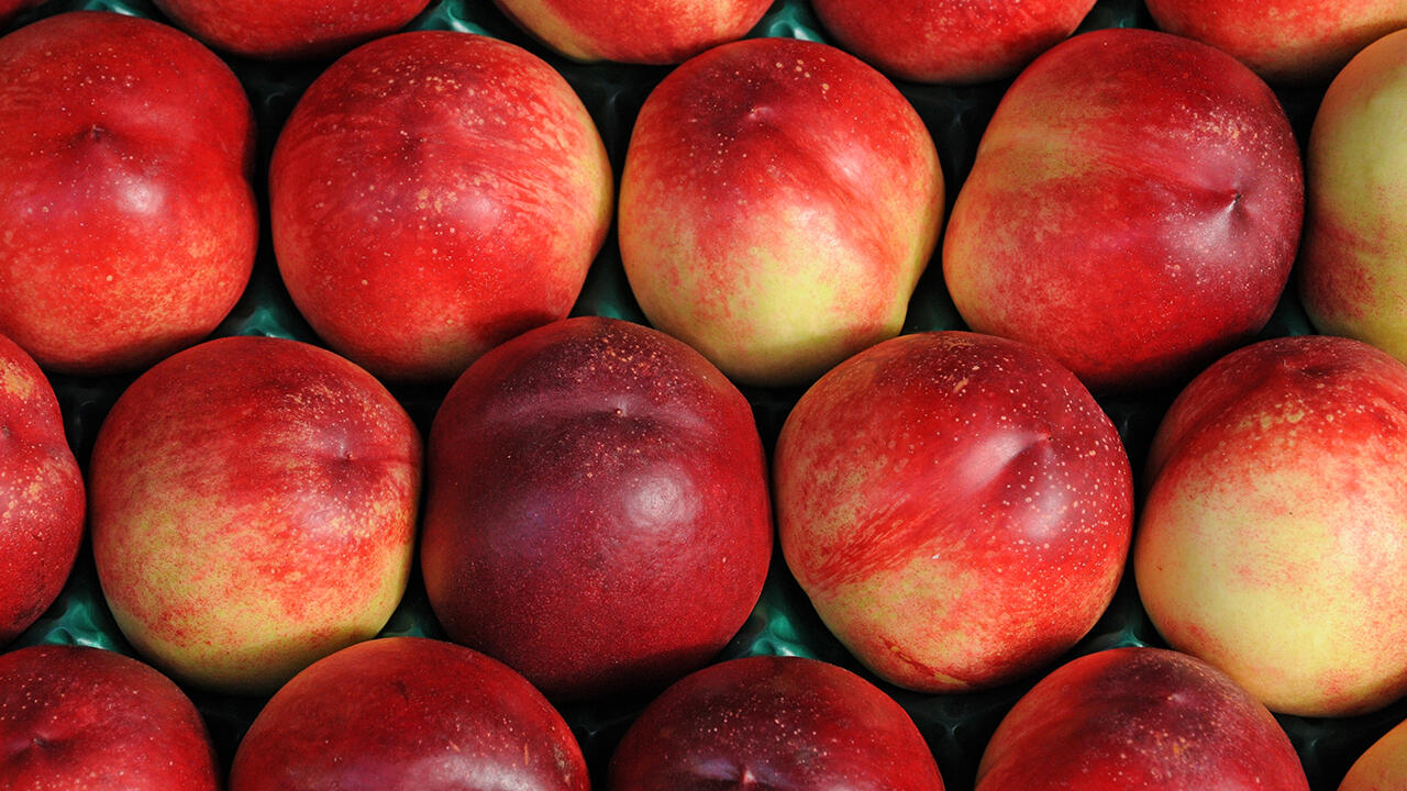 Nektarinen haben derzeit Saison. Doch wie ist es um ihre Pestizidbelastung bestellt? Wir haben zwölf Produkte untersucht.