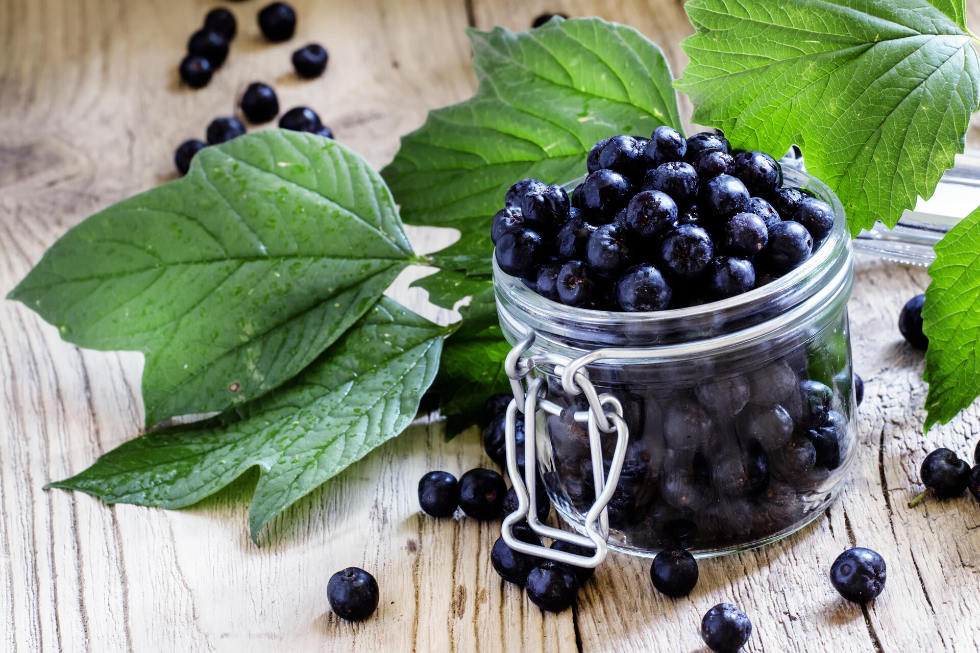 Aroniabeeren eignen sich zur Herstellung von Saft, Marmelade oder fürs Müsli.