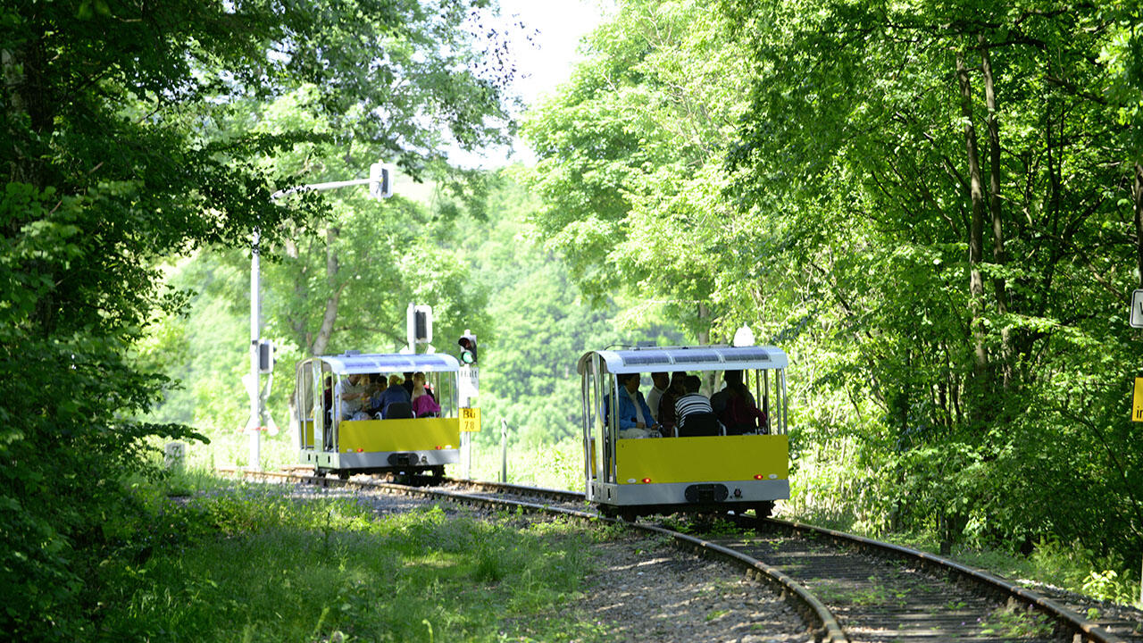 Wie wäre es mit einem Ausflug durch den idyllischen Odenwald?