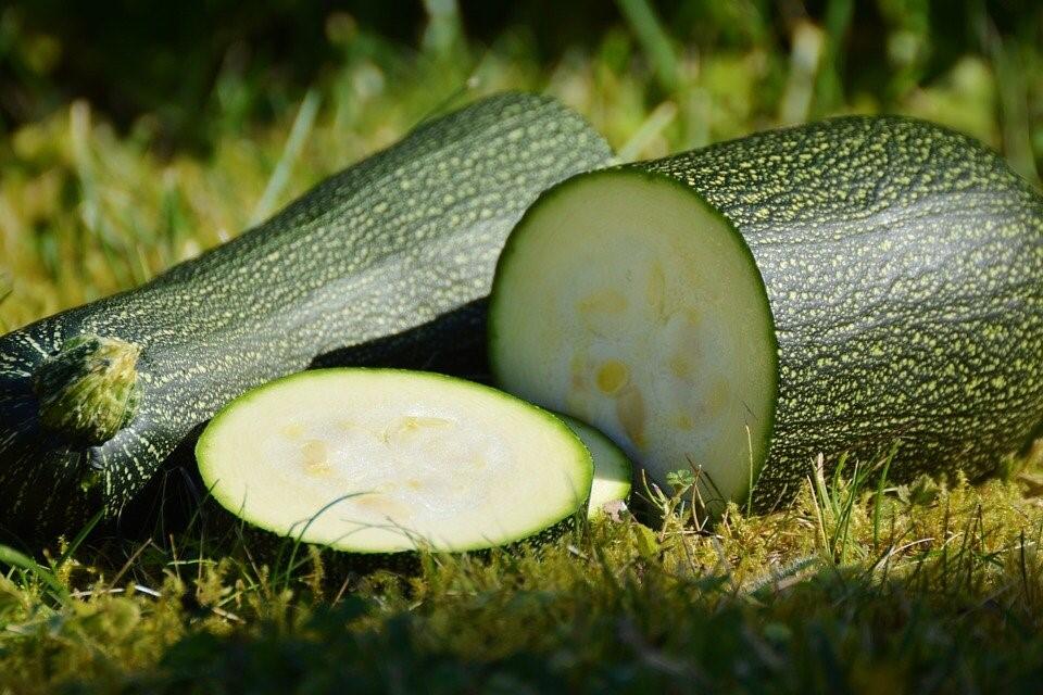 Gekaufte Zucchini sind gezüchtet und können deshalb immer roh verzehrt werden, bei Zucchinis aus dem eigenen Anbau kommt es auf den Geschmack an.