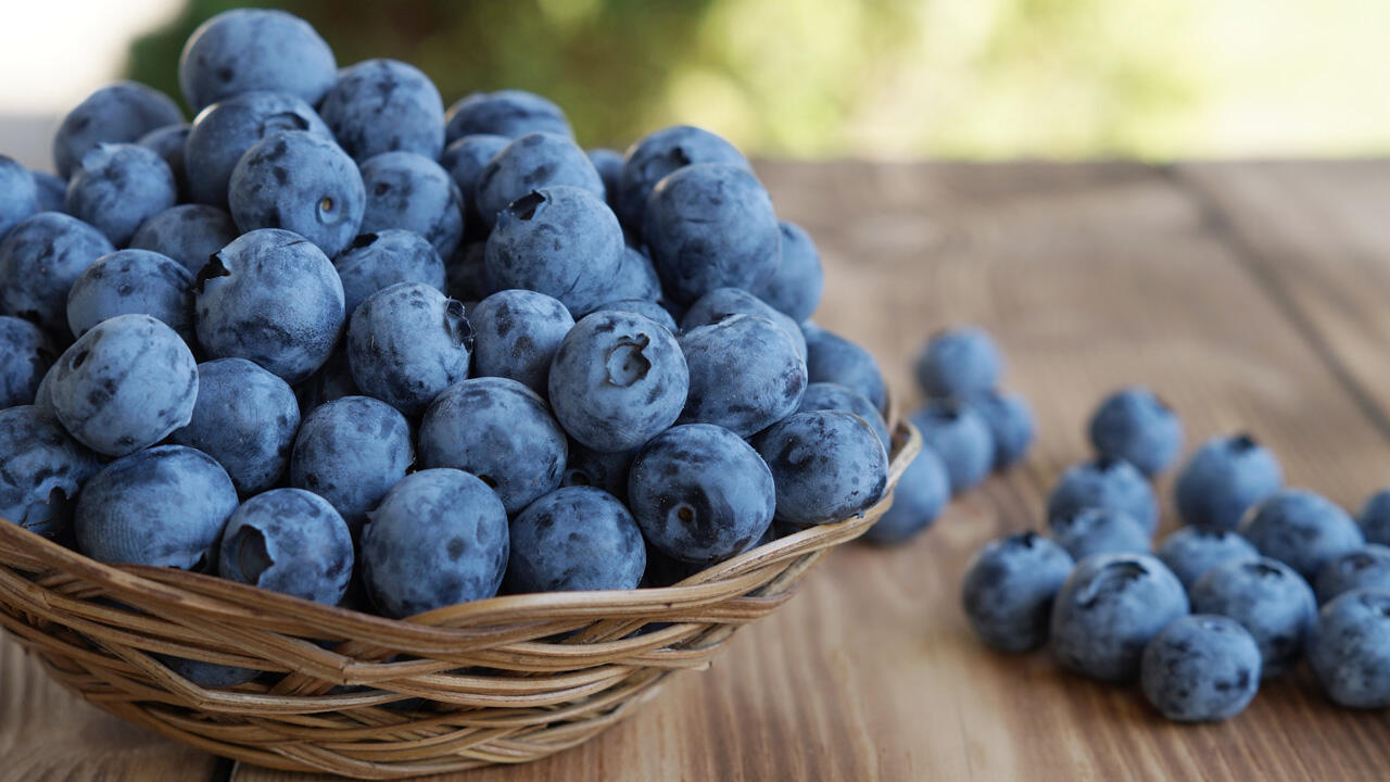 Frische Heidelbeeren erkennen Sie an gleichmäßig blauer Farbe, praller Schale und leichter Pelzschicht.