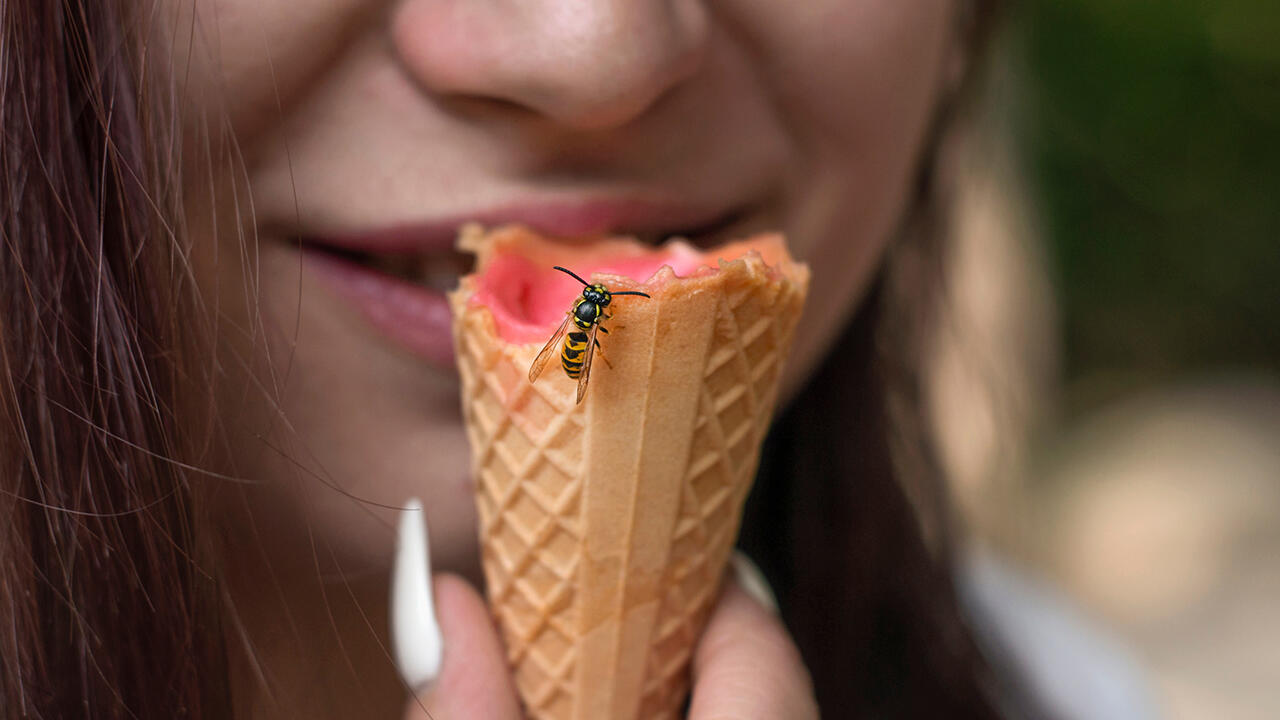 Kaum ist das Eis in der Hand, lässt die erste Wespe nicht lange auf sich warten.