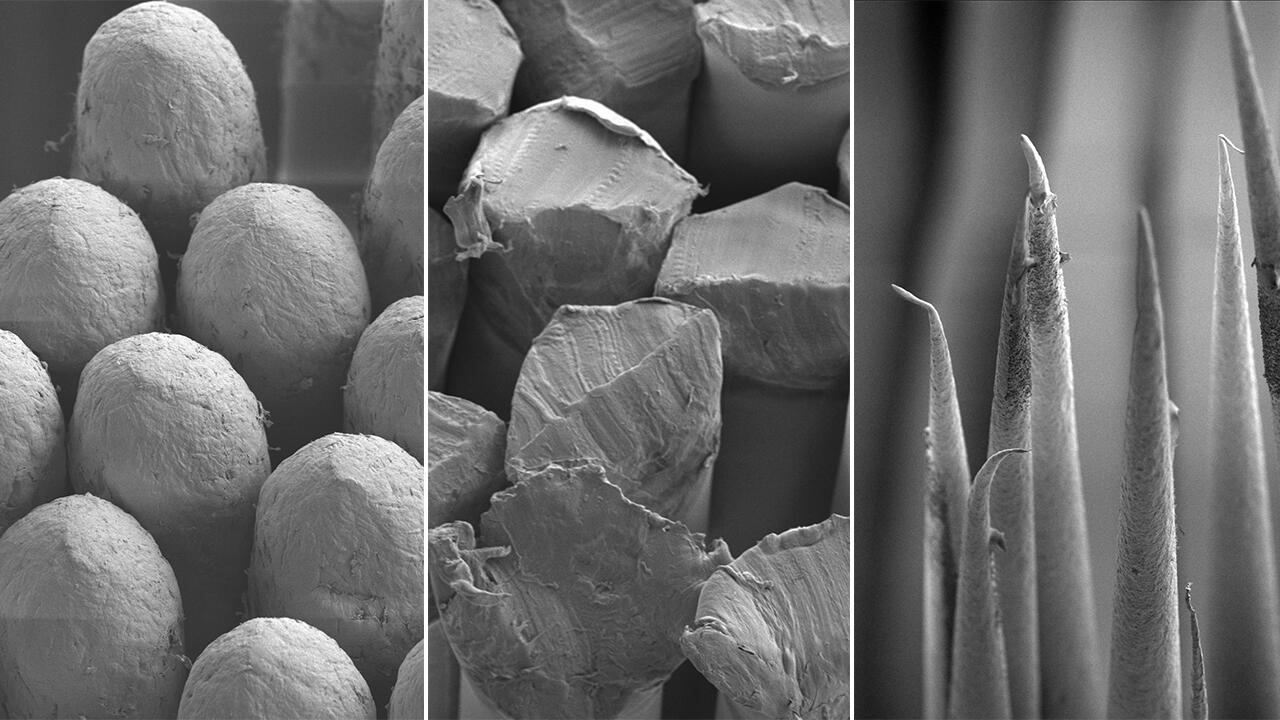 Diese Aufnahmen unter dem Rasterelektronenmikroskop zeigen die Unterschiede zwischen den Borsten. Links sieht man die am stärksten abgerundeten Borstenenden im Test. In der Mitte ist die schlechtere Abrundung zu sehen. Rechts erkennt man sehr dünne und spitz zulaufende Borstenenden.