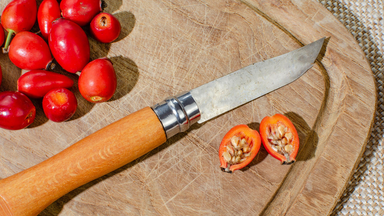 Vor dem ersten Frost enthalten Hagebutten mehr Vitamin C, später geerntete sind dafür süßer.